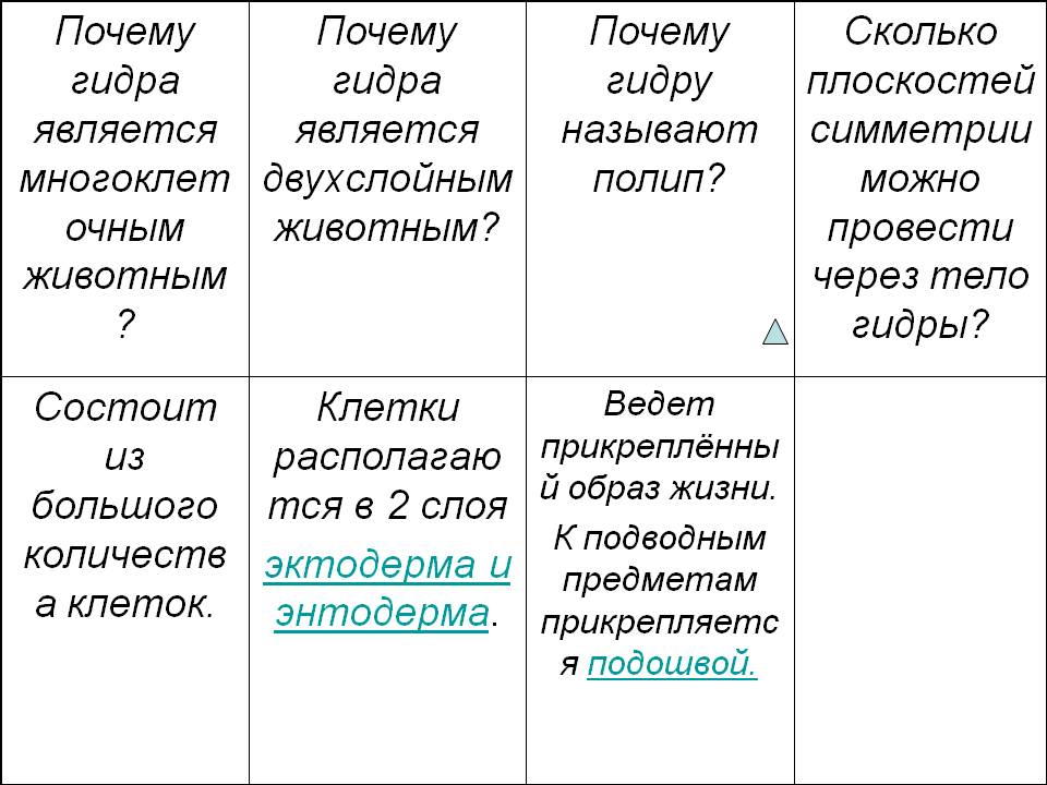 Кракен даркнет как зайти