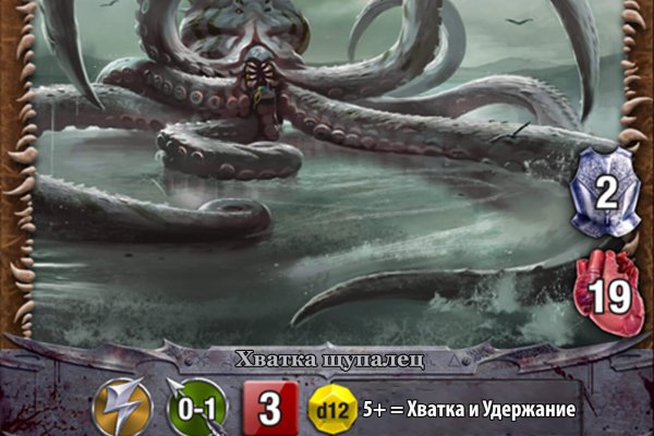 Kraken найдется все